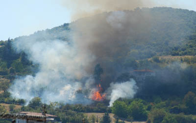 Φωτιά χτες σε θαμνώδη περιοχή της Βέροιας