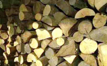 Πώς θα αγοράζετε ξύλα με το κυβικό