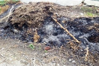Δήμος Αλεξάνδρειας: Απαγορεύεται αυστηρά η καύση απορριμμάτων