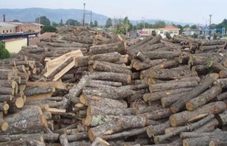 6 τόνοι ξύλων δρυ κατασχέθηκαν από τους άντρες του δασαρχείου Βέροιας