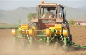 Δεν θα φορολογηθούν τελικά γεωργικά μηχανήματα, θερμοκήπια και στάνες
