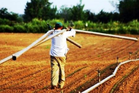 Κινητοποιήσεις των αγροτών της Αλεξάνδρειας την Τετάρτη στην εφορία Βέροιας