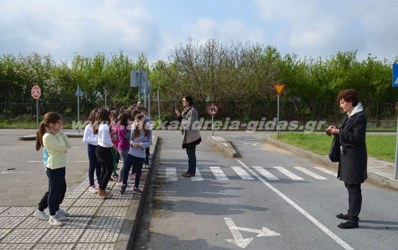 Στο Πάρκο Κυκλοφοριακής Αγωγής Αλεξάνδρειας βρέθηκε το 5ο δημοτικό Βέροιας (φώτο)