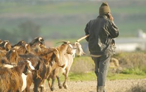 Σε ποια σημεία του δήμου Αλεξάνδρειας υπάρχουν διαθέσιμοι βοσκότοποι