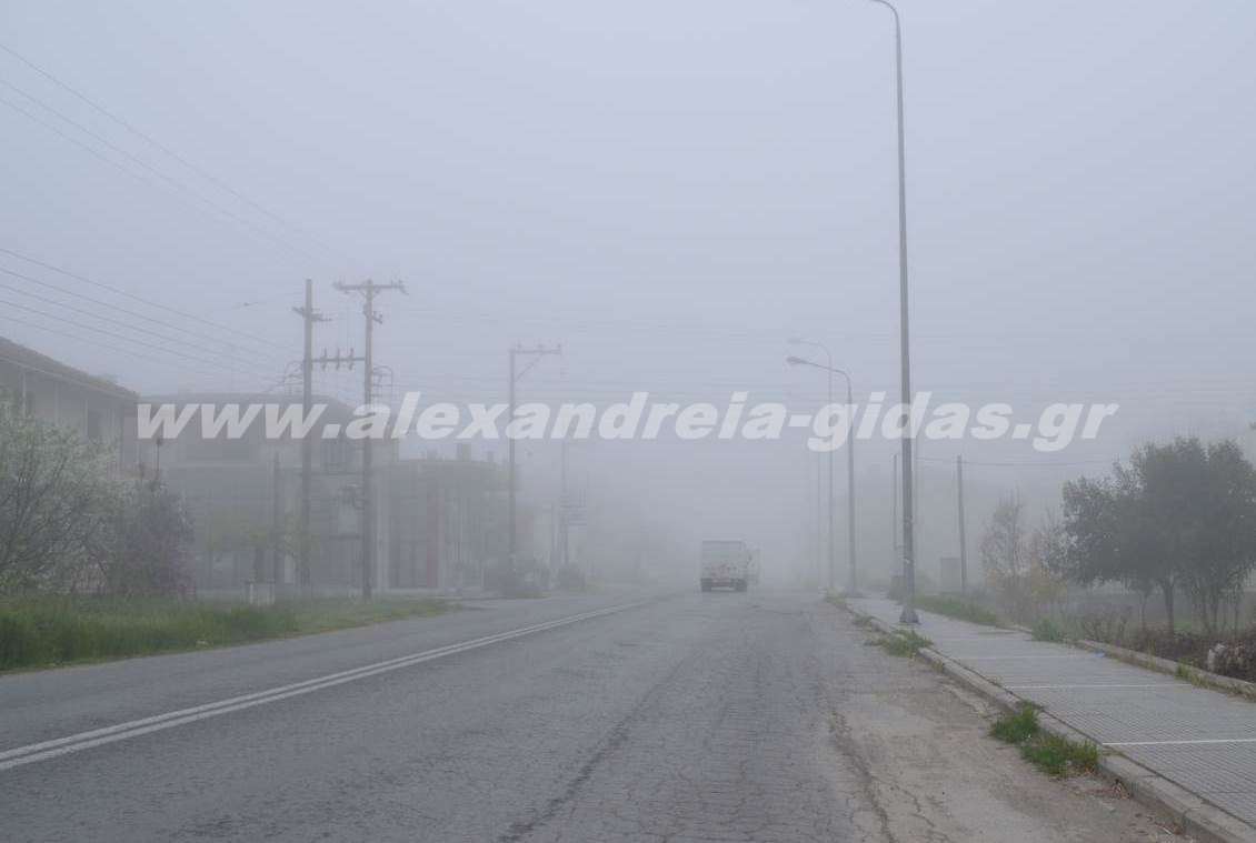 Πυκνή ομίχλη το πρωί στην Αλεξάνδρεια – δείξτε προσοχή (φώτο)