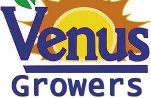 Προσλήψεις στη VENUS σε Βέροια και Αλεξάνδρεια – (πληροφορίες)