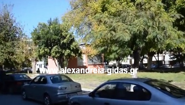 Οι όροι της δημοπρασίας για το αναψυκτήριο στην πλατεία ΟΣΕ Αλεξάνδρειας – στις 22/06 η δημοπρασία
