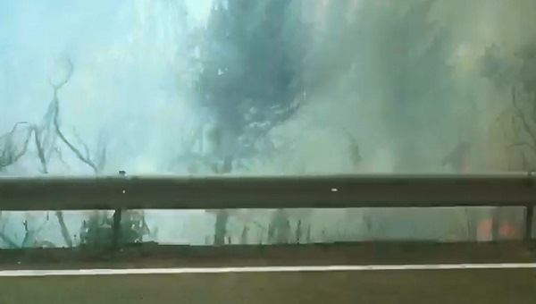 ΤΩΡΑ: Φωτιά στην Εθνική Οδό μετά τα Olympus Plaza του Κορινού (βίντεο αναγνώστη)