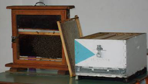 Ο μελισσοκόμος Δημήτρης Φύκατας επισκέφτηκε το Δημοτικό Σχολείο Νησίου