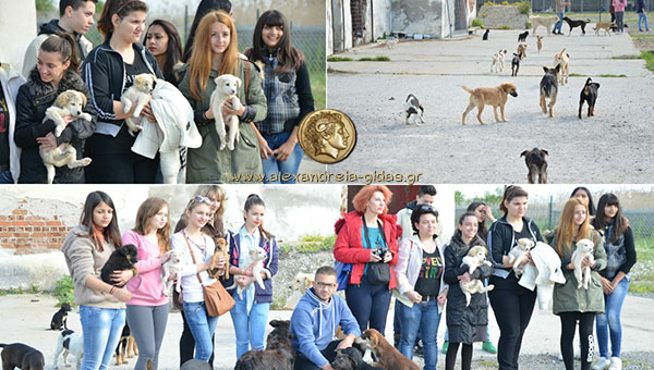 Ευχαριστήρια επιστολή από το ΕΠΑΛ Αλεξάνδρειας