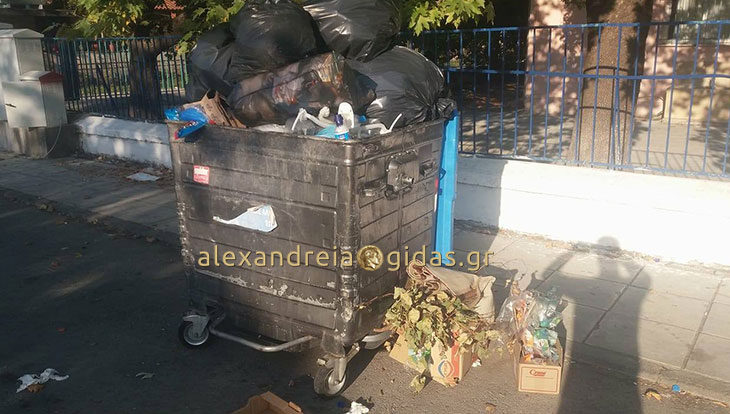 Τα ζώδια σήμερα Παρασκευή 28/11