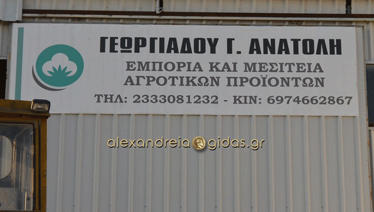 ΓΕΩΡΓΙΑΔΟΥ Γ. ΑΝΑΤΟΛΗ στα Τρίκαλα Ημαθίας: Παραλαμβάνουμε καθημερινά βαμβάκι και καλαμπόκι