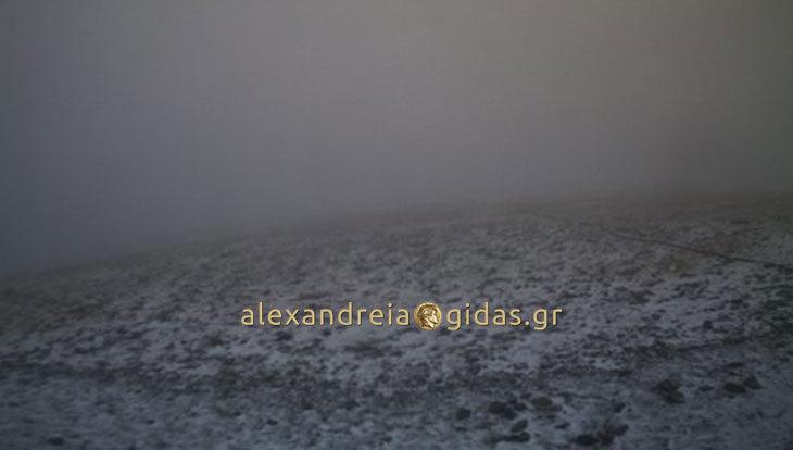Τώρα: Χιονίζει στην Αλεξάνδρεια!