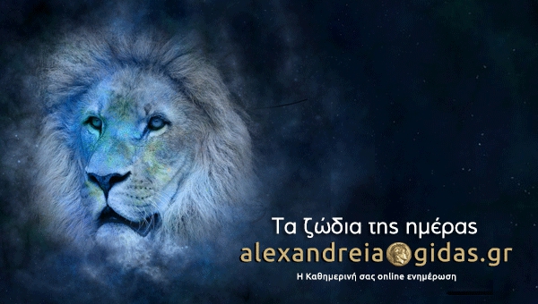 Πέρσι ήταν ο Καζούλης – δείτε ποιος θα εμφανιστεί φέτος στην ΑΣΤΕΡΟΥΠΟΛΗ στον Πλατύ! (πρόγραμμα)