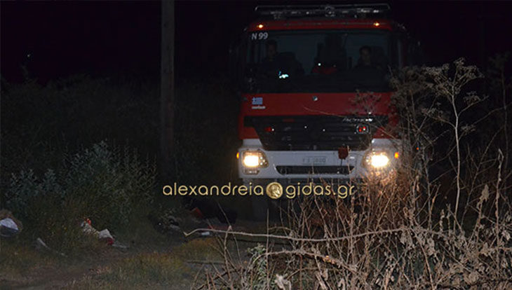 Σειρήνες της πυροσβεστικής πριν λίγο στην Αλεξάνδρεια – δείτε τι έγινε!