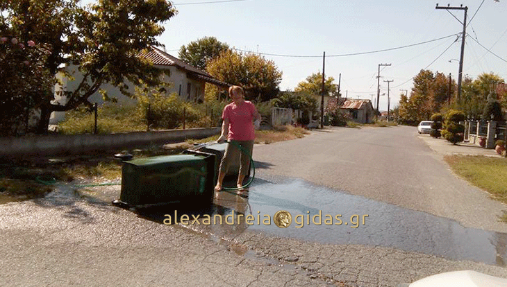 Ο εθελοντισμός και η κ. Ευδοξία σε δράση στο Κλειδί!