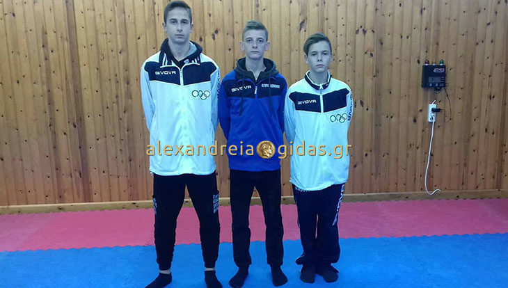 Επιτυχίες και μετάλλια στο Tae Kwon Do για τον ΦΙΛΙΠΠΟ Αλεξάνδρειας (φώτο)