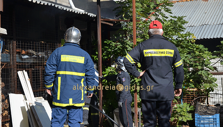 ΤΩΡΑ: Φωτιά στον πεζόδρομο Αλεξάνδρειας (φώτο-βίντεο)