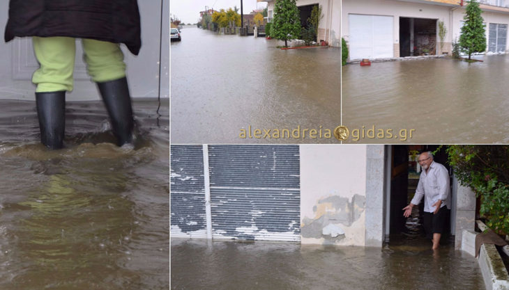Μεγάλο πρόβλημα στη Σταδίου στην Αλεξάνδρεια – πλημμύρισαν σπίτια και επιχειρήσεις (φώτο-βίντεο)