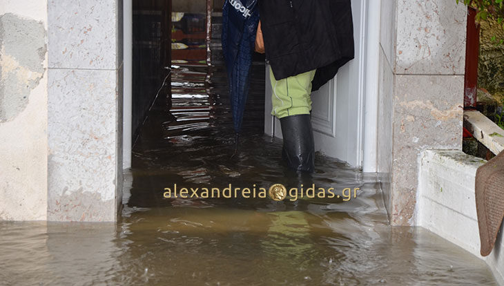 Τι χρειάζεται για να κάνετε αίτηση αποζημίωσης στον δήμο Αλεξάνδρειας για ζημιές σε σπίτια και συσκευές από τις πλημμύρες