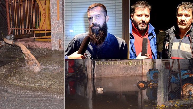 Διακρίσεις και μετάλλια για τους παλαιστές της Αλεξάνδρειας