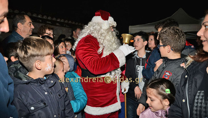 Άναψε το Χριστουγεννιάτικο Δέντρο στην Αυλή του Αη Βασίλη στο Αιγίνιο (φώτο)