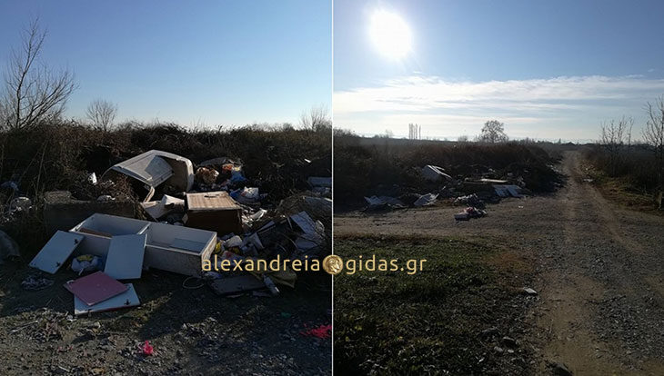 Αναγνώστης: Σκουπιδότοπος λίγα μέτρα από τα σπίτια στην Επισκοπή Αλεξάνδρειας (φώτο)