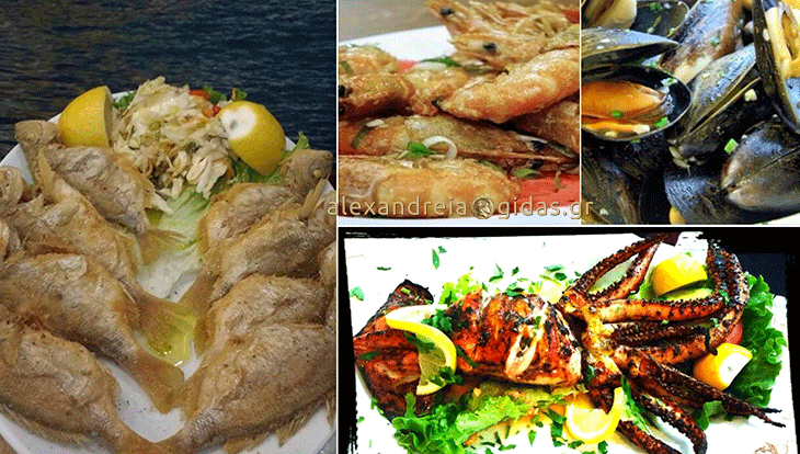 Τσιπουράκι και θαλασσινές γεύσεις καθημερινά στο ΒΟΛΙΩΤΙΚΟ στην Αλεξάνδρεια – έρχεται live βραδιά! (φώτο)