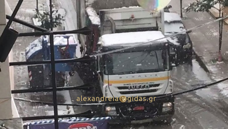Αναγνώστης: Γιατί μας κοροϊδεύουν με τους κάδους ανακύκλωσης στην Αλεξάνδρεια; (βίντεο)