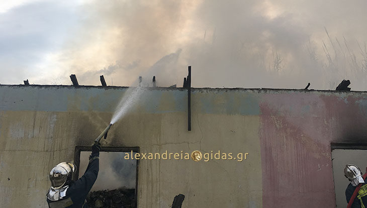 Φωτιά σε ταβέρνα στην Αλεξάνδρεια (βίντεο)