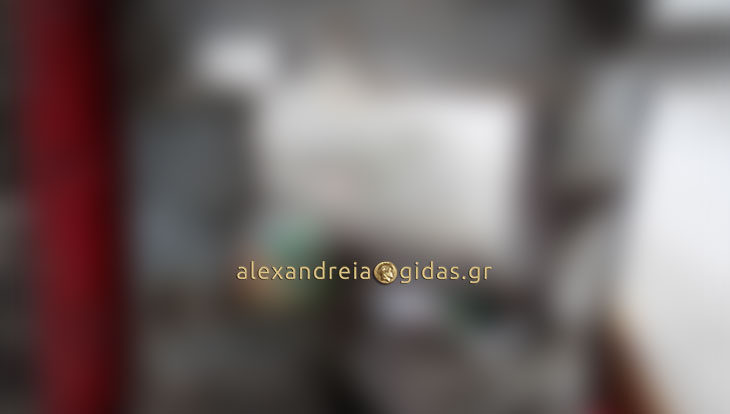 Αναγνώστρια: Δείτε κάδο στην Αλεξάνδρεια το 2018! (φώτο)
