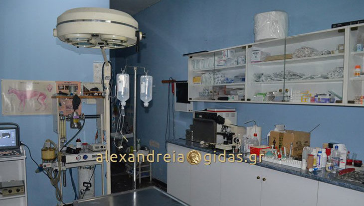 Κτηνιατρικές υπηρεσίες με υπευθυνότητα στο Κτηνιατρείο του Θεοδωρίδη Αναστάσιου στην Αλεξάνδρεια