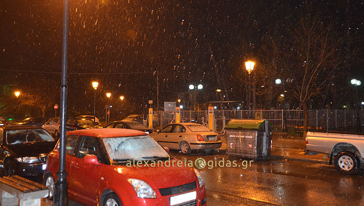 Ήρθαν τα πρώτα χιόνια στην Αλεξάνδρεια (φώτο)
