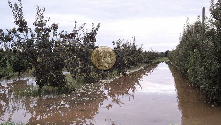 Ανακοίνωση που αφορά αγρότες Καμποχωρίου, Σταυρού, Ξεχασμένης, Καβασίλων και Κεφαλοχωρίου