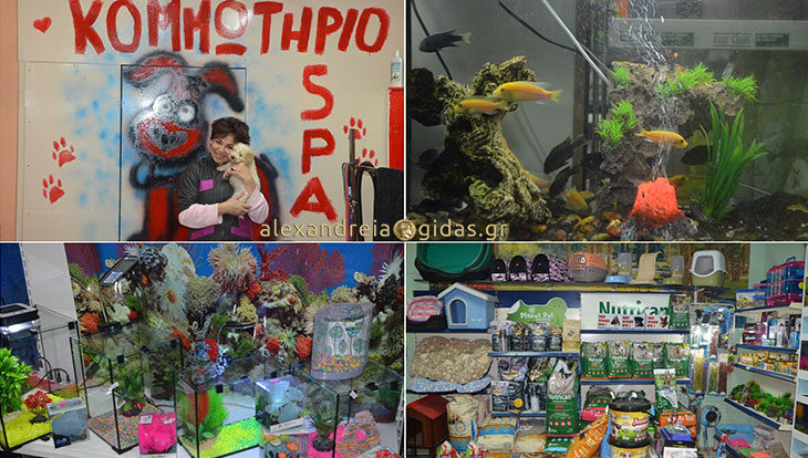 Pet Shop της ΕΛΕΝΑΣ: Ένα πολύχρωμο και ζωντανό κατάστημα στην Αλεξάνδρεια! (φώτο)