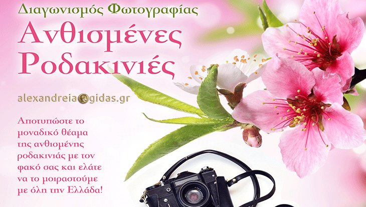 Διαγωνισμός φωτογραφίας: «Ανθισμένες Ροδακινιές» στην Ημαθία