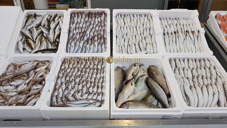 Πλούσια η ψαριά για την Κυριακή των Βαΐων στο ΠΑΛΙΟ ΜΑΓΑΖΙ – ανοιχτά πρωί και απόγευμα σήμερα Παρασκευή! (φώτο)