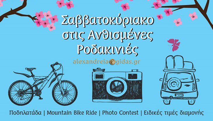 Ξεκίνησε το σαββατοκύριακο στις Ανθισμένες Ροδακινιές – το πρόγραμμα για αύριο Κυριακή