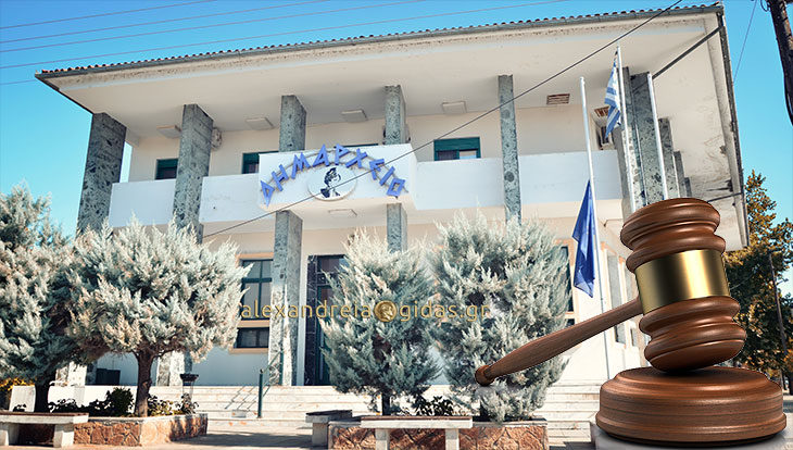 Δημοπρασίες για ενοικίαση χωραφιών στον δήμο Αλεξάνδρειας