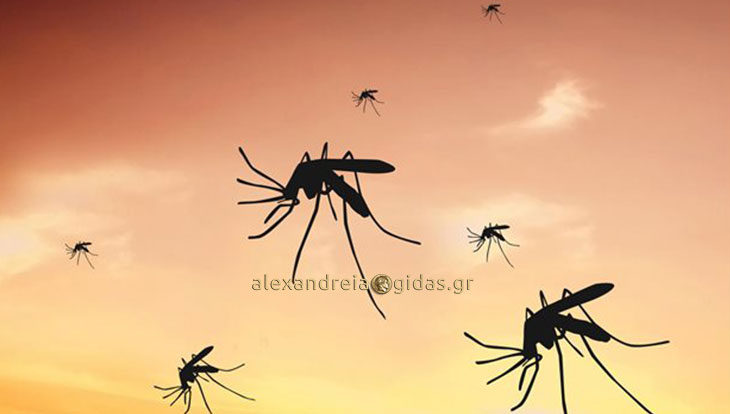Πόσα χρήματα θα ξοδέψει φέτος ο δήμος Αλεξάνδρειας για την καταπολέμηση των κουνουπιών