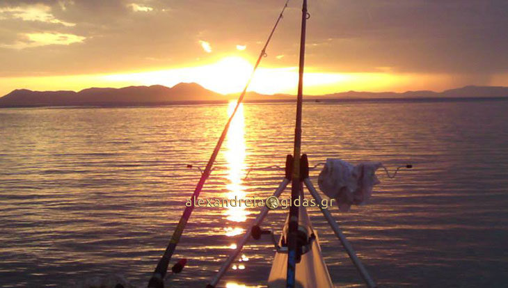 Από σήμερα απαγορεύεται το ψάρεμα στους Ποταμούς της Κεντρικής Μακεδονίας και στις τεχνητές λίμνες του Αλιάκμονα