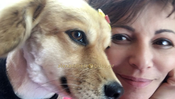 Στο Pet Shop της ΕΛΕΝΑΣ στην Αλεξάνδρεια αγαπάμε τα κατοικίδια – ξεκίνησαν τα κουρέματα! (φώτο)