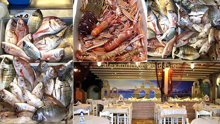 Να μην ξεχάσω να πάρω ψάρια από το ΠΑΛΙΟ ΜΑΓΑΖΙ στην Αλεξάνδρεια την Τετάρτη!