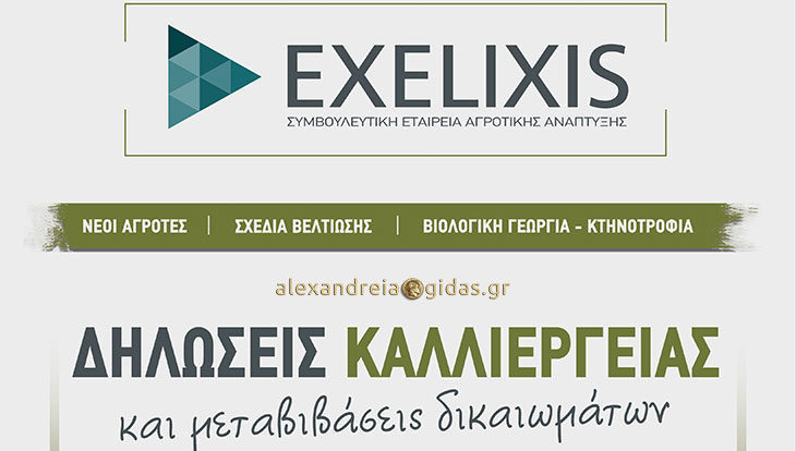 EXELIXIS: Το νέο πιστοποιημένο Κέντρο Υποδοχής Δηλώσεων ΟΣΔΕ στην Αλεξάνδρεια