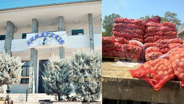 4.500 κιλά πατάτες μοίρασε το Κοινωνικό Παντοπωλείο Αλεξάνδρειας