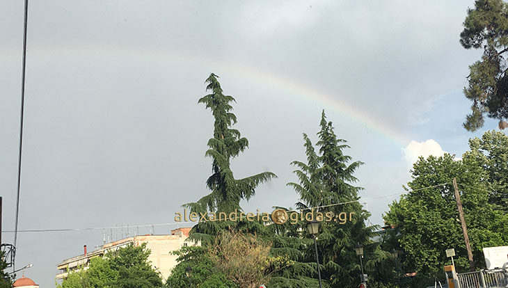 Η ομορφιά της φύσης πάνω από την Αλεξάνδρεια! (φώτο)