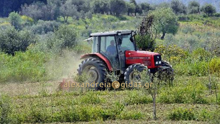 ΕΥΚΑΙΡΙΑ: Πωλούνται 2 αγροτεμάχια στον δήμο Αλεξάνδρειας (πληροφορίες)
