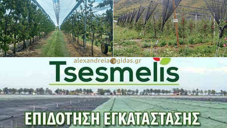 TSESMELIS: Βρείτε στην Ημαθία αξιόπιστη λύση στις επιδοτήσεις αντιχαλαζικών συστημάτων!