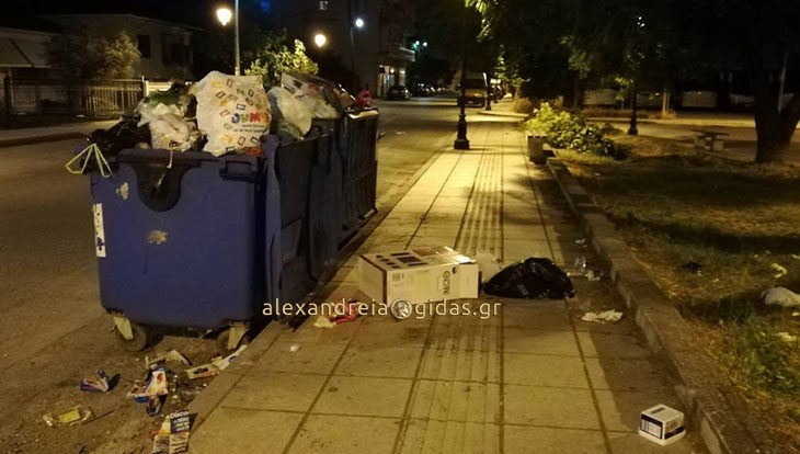 Αναγνώστης: Ωραίες εικόνες στην Αλεξάνδρεια…(φώτο)