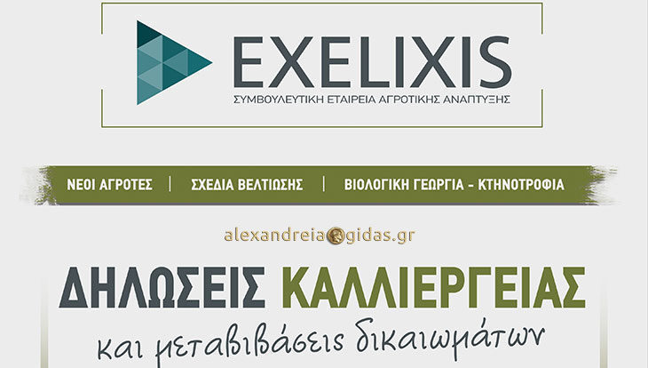 EXELIXIS: Το πιστοποιημένο Κέντρο Υποδοχής Δηλώσεων ΟΣΔΕ στην Αλεξάνδρεια